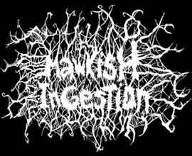 logo Mawkish Ingestion logo Mawkish Ingestion